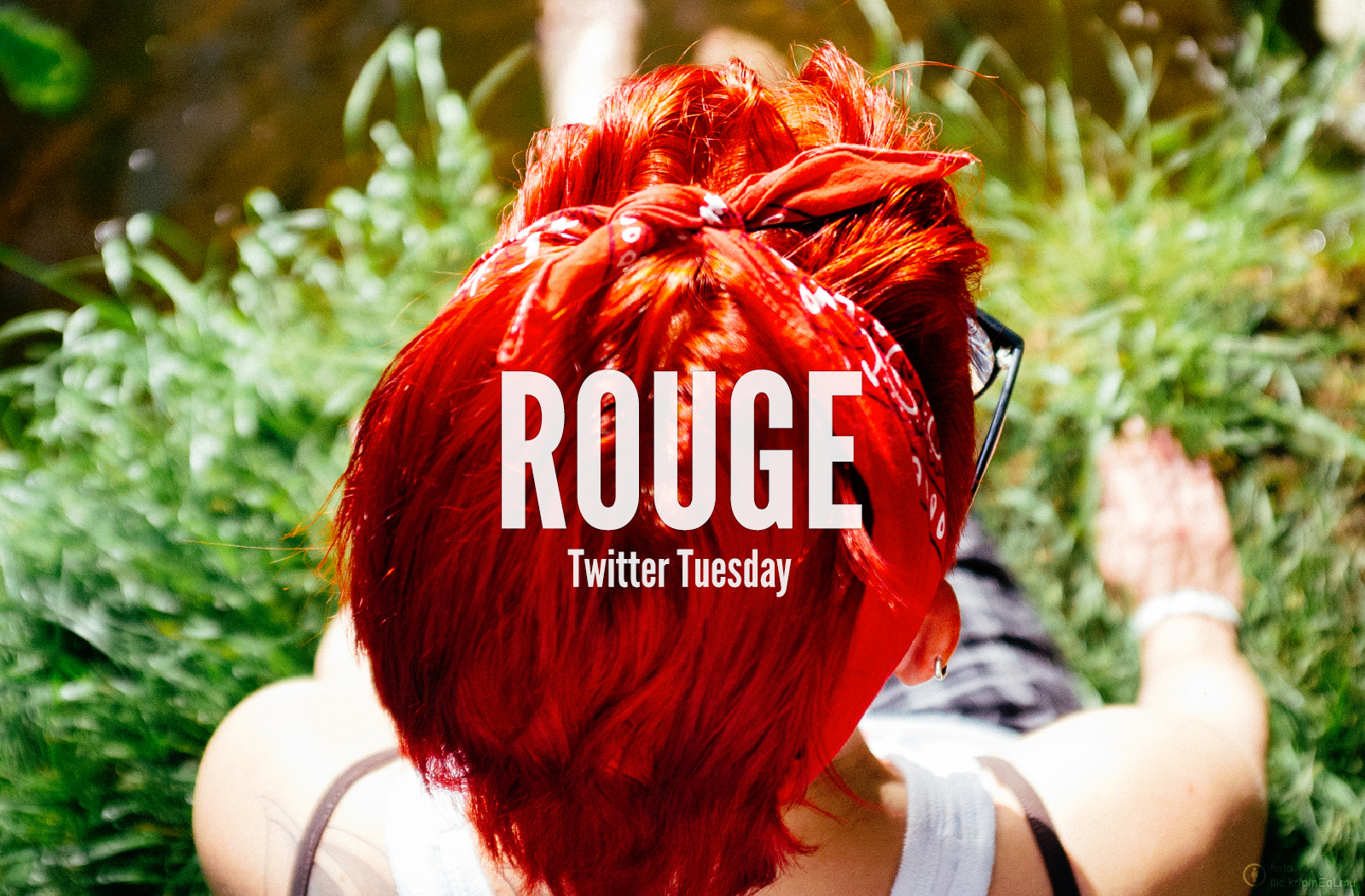 TwitterTuesday_Red_fr